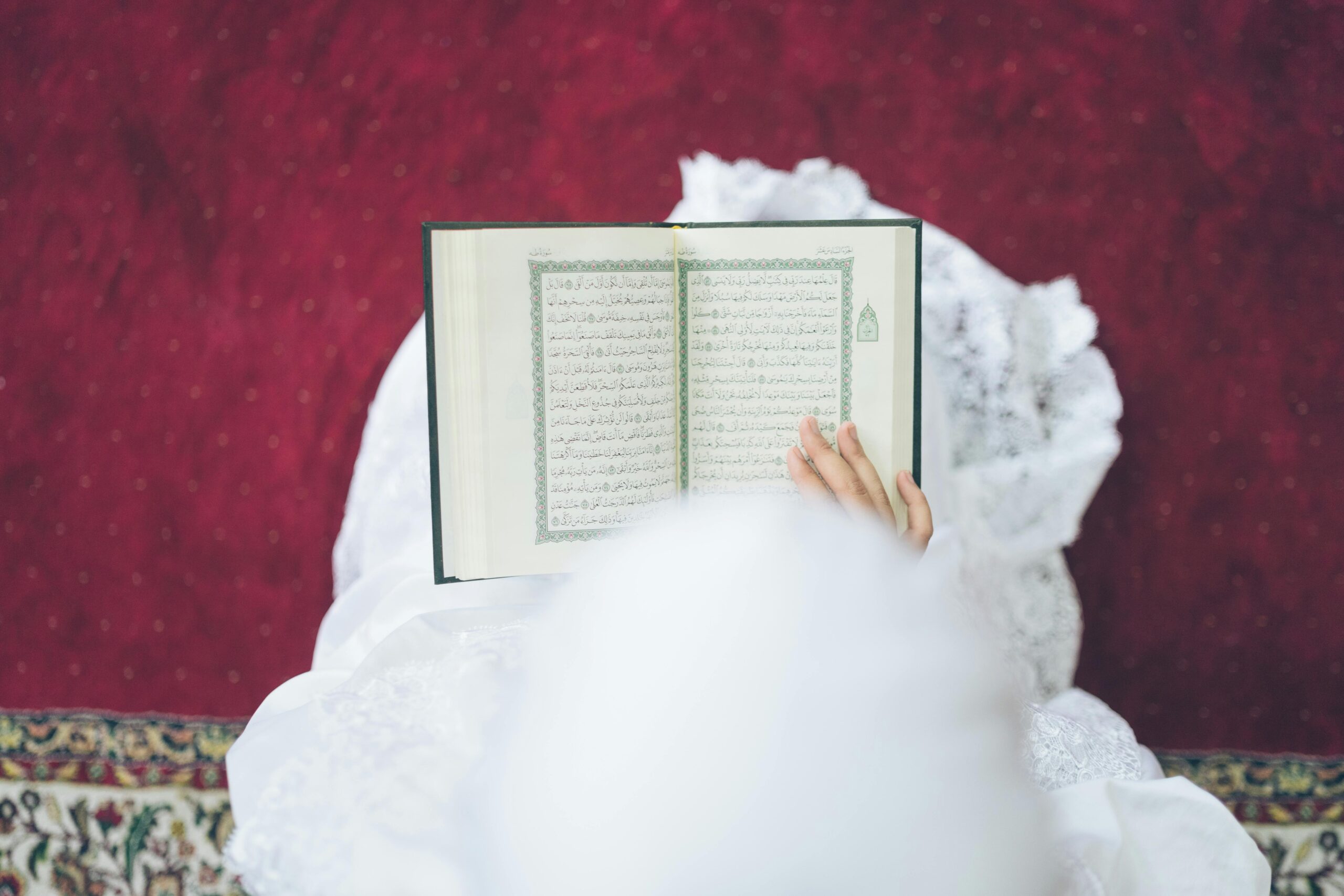 pexels-rizkysabriansyah-36212004